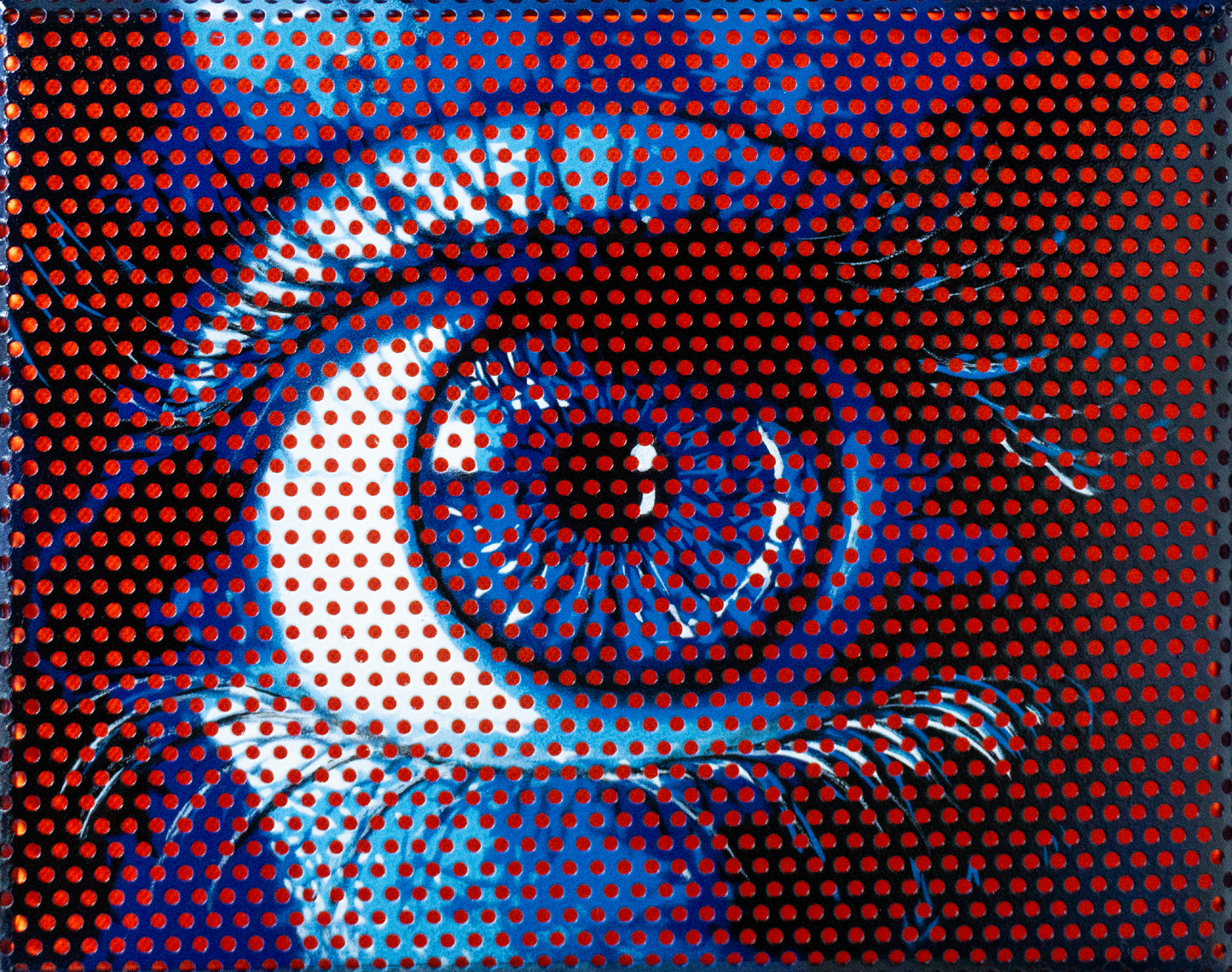 Blue A-Eye