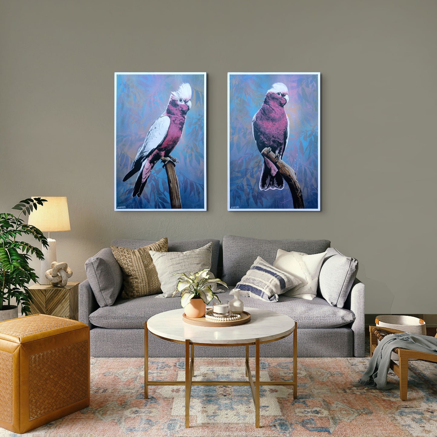 'Cecil' (galah)