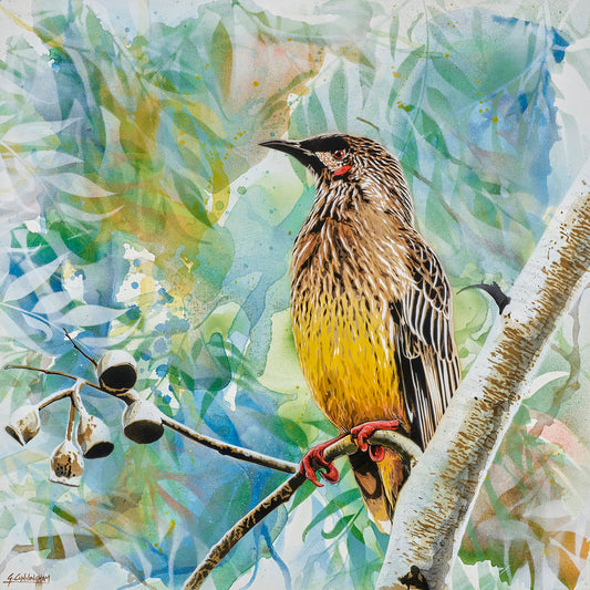 'Here Comes The Sun (Wattle Bird)' (Reproduction Print)