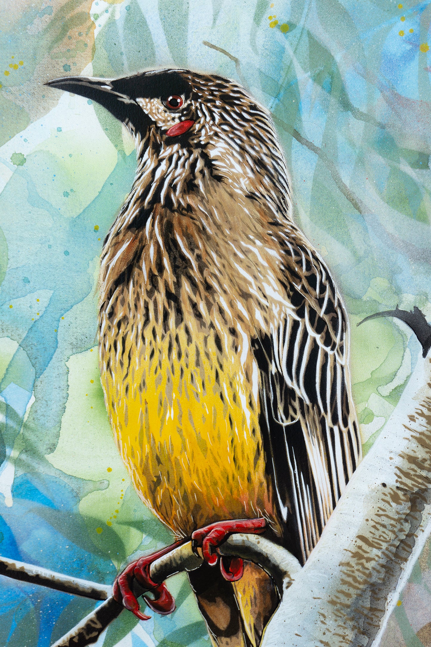 'Here Comes The Sun (Wattle Bird)' (Reproduction Print)