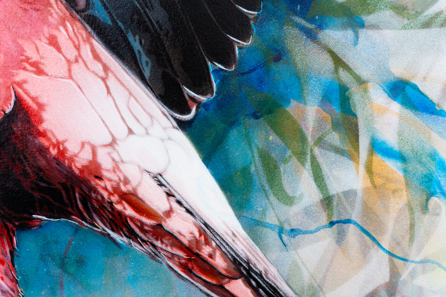 'Look At Me (Galah)' (Reproduction Print)