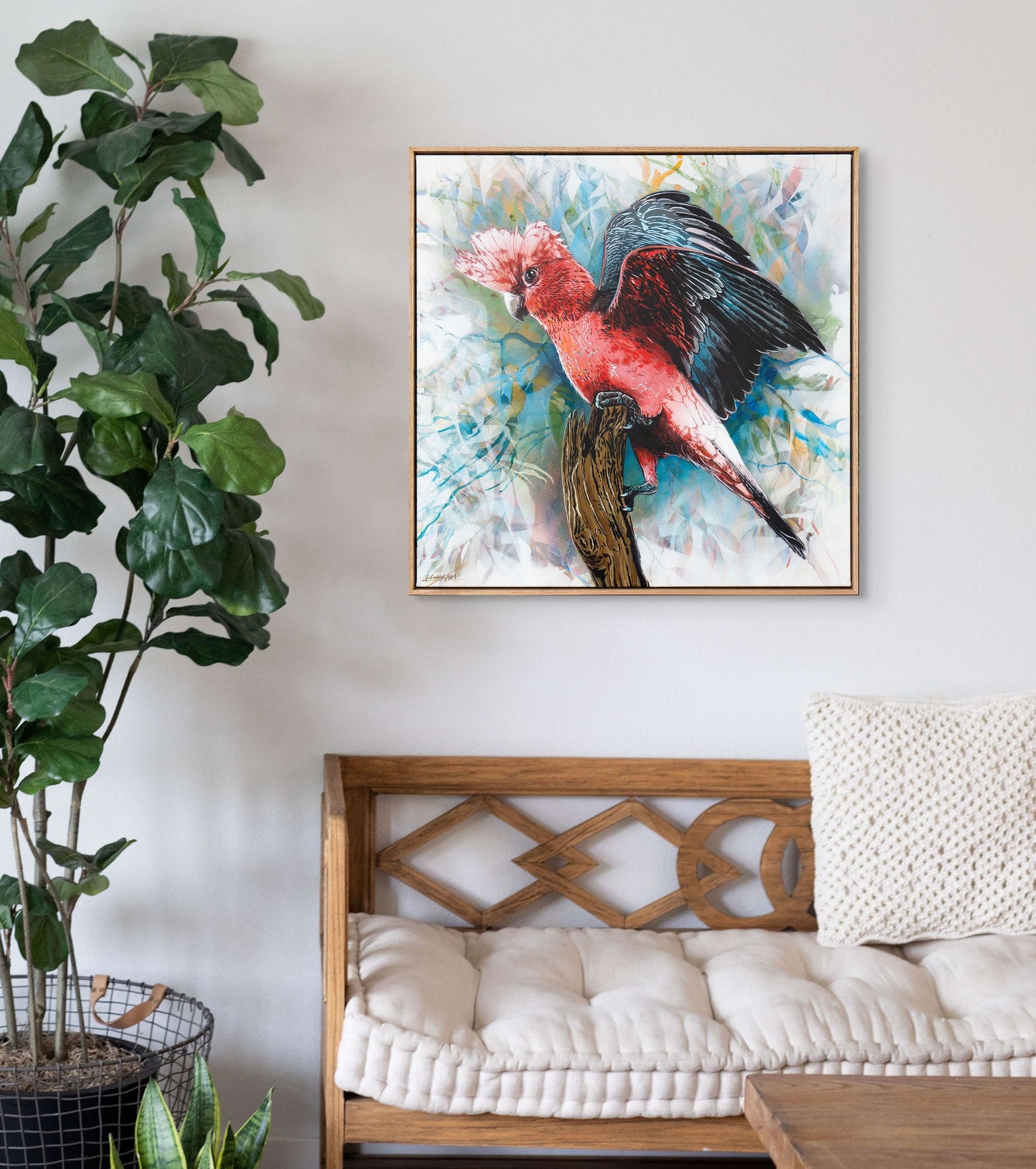 'Look At Me (Galah)' (Reproduction Print)