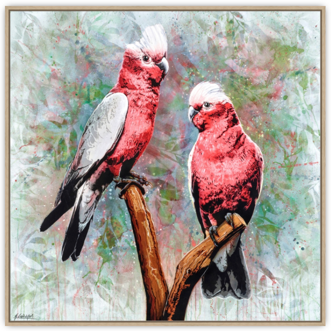 'In The Pink (Galah)' (Reproduction Print)