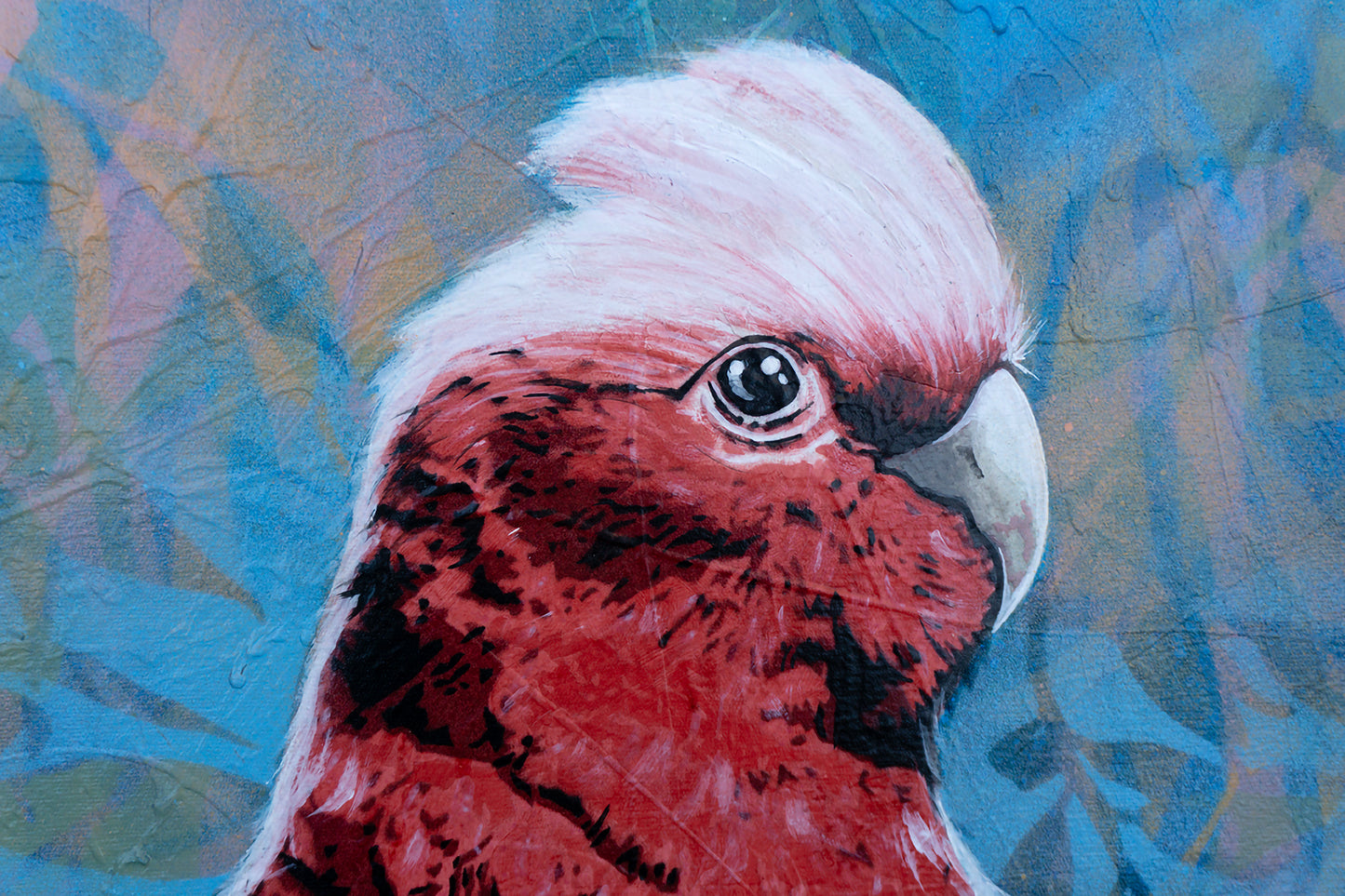'Silly Bloody Galah'