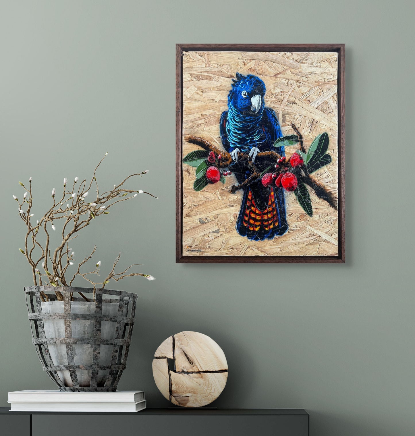 Red Tailed Black Cocky (timber)