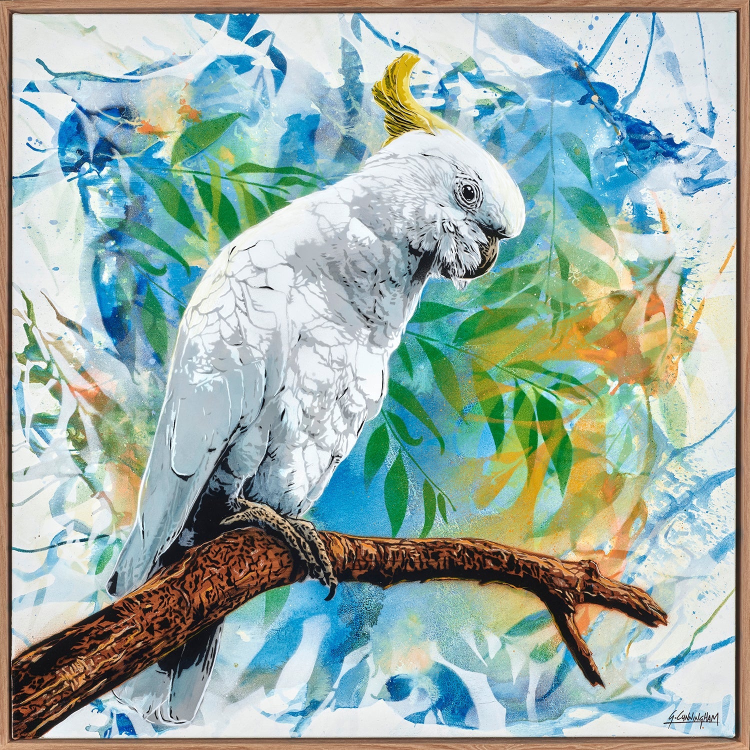 Australian Native Birds