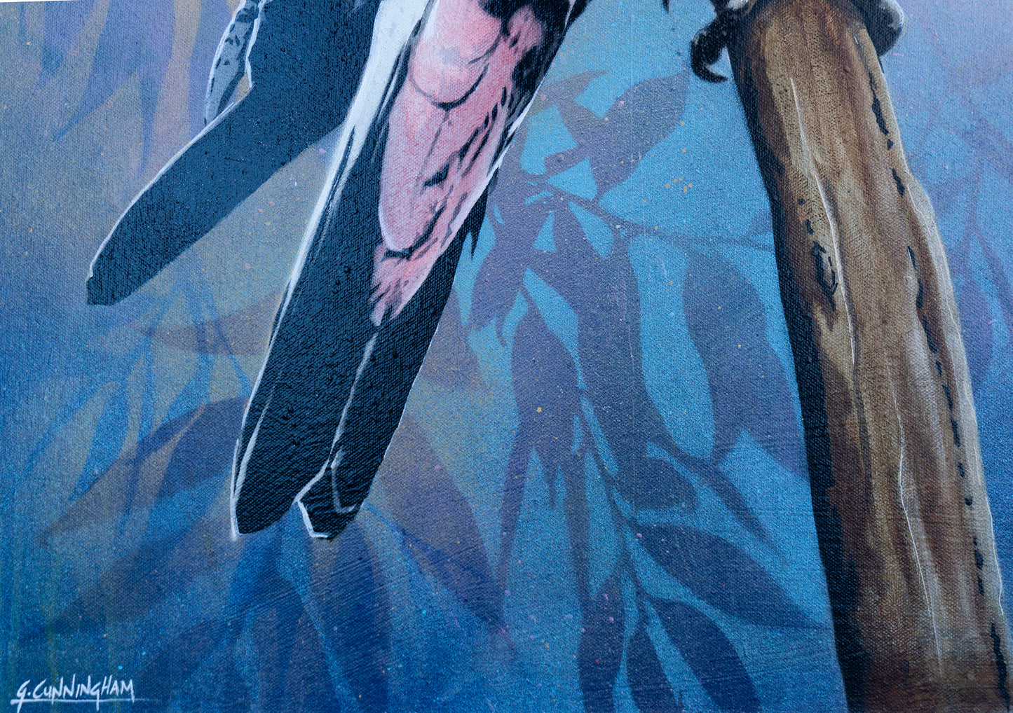 'Cecil' (galah)