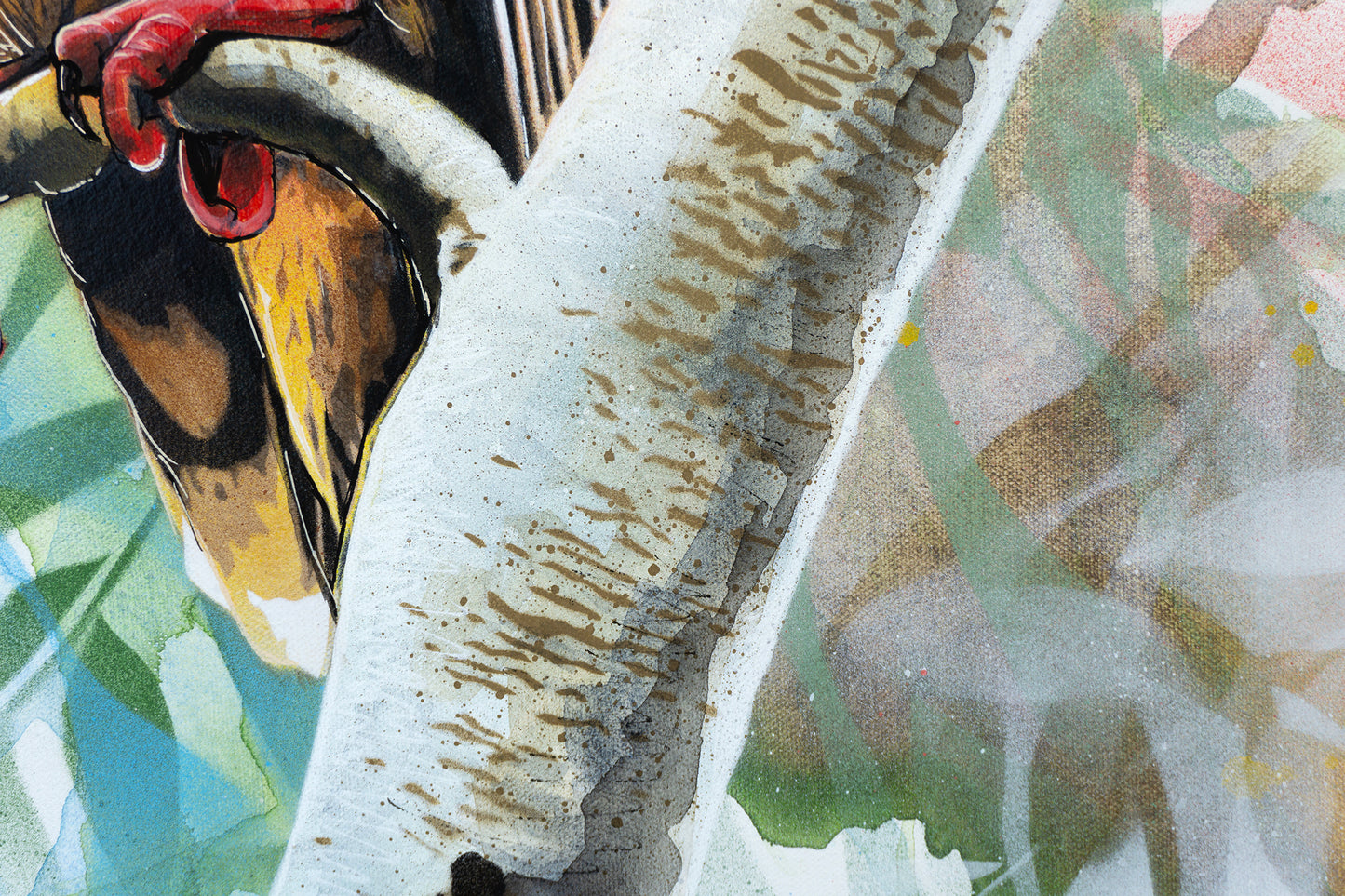 'Here Comes The Sun (Wattle Bird)' (Reproduction Print)