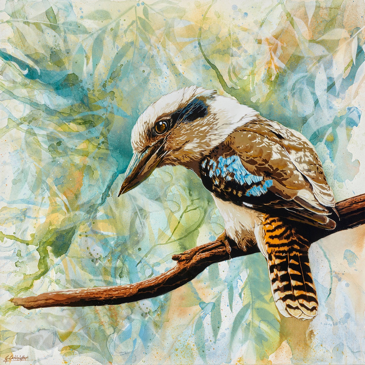 'I Spy (Kookaburra)' (Reproduction Print)