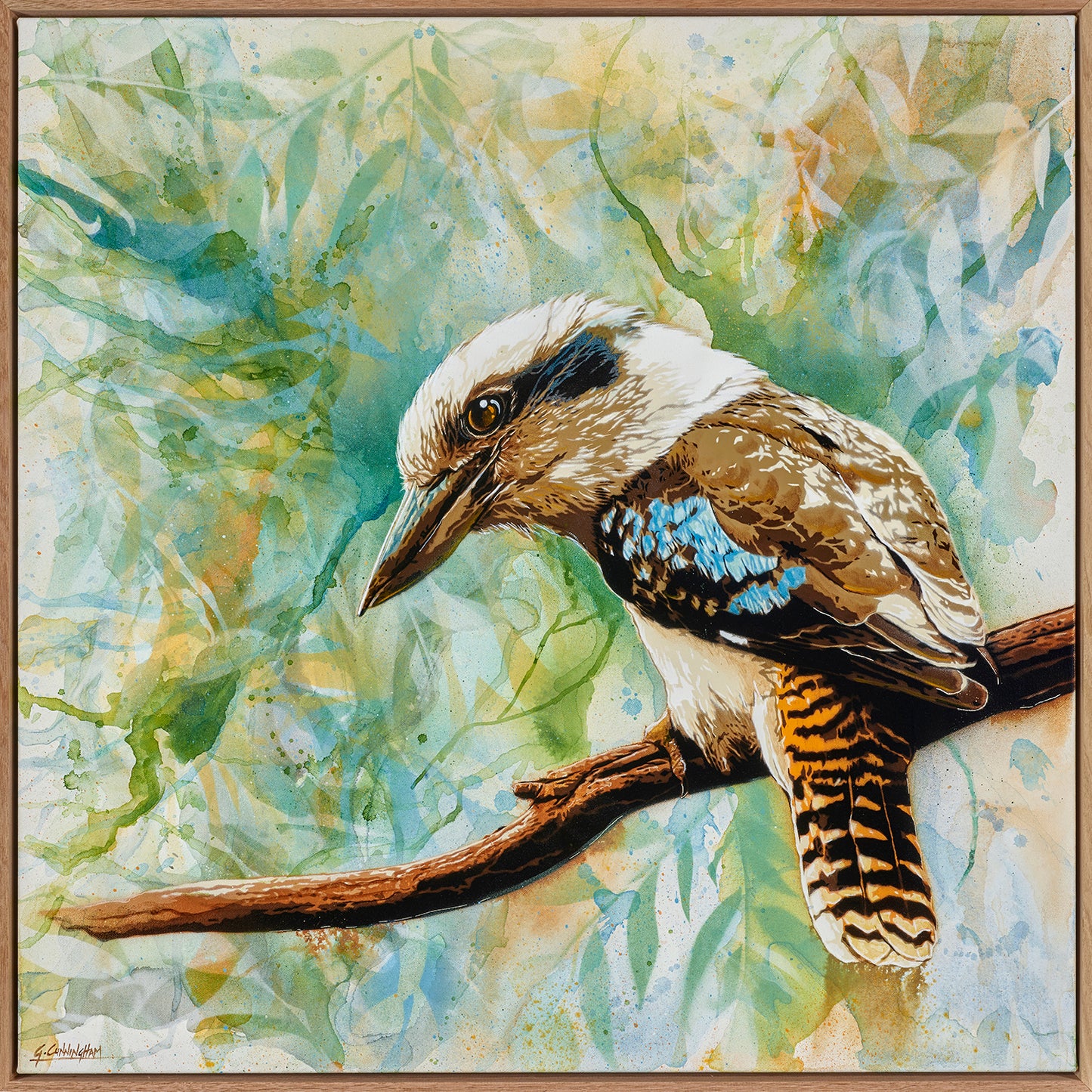 'I Spy (Kookaburra)' (Reproduction Print)