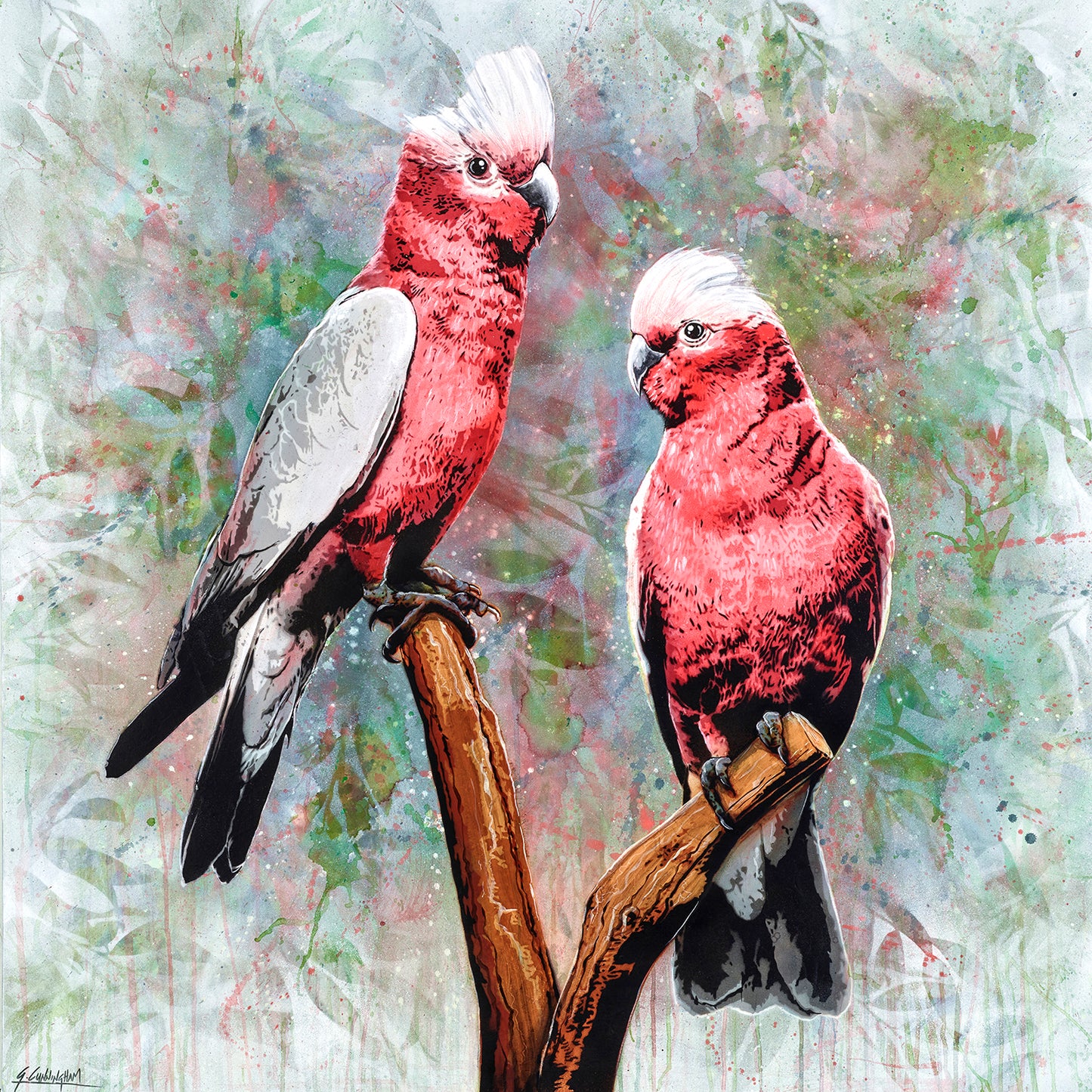 'In The Pink (Galah)' (Reproduction Print)