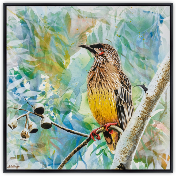 'Here Comes The Sun (Wattle Bird)' (Reproduction Print)