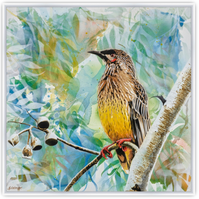 'Here Comes The Sun (Wattle Bird)' (Reproduction Print)