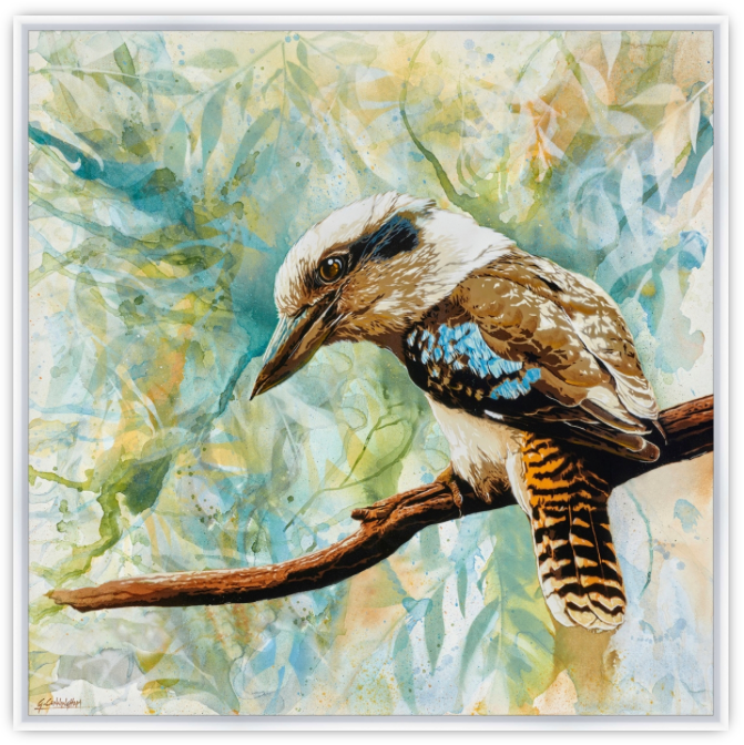 'I Spy (Kookaburra)' (Reproduction Print)