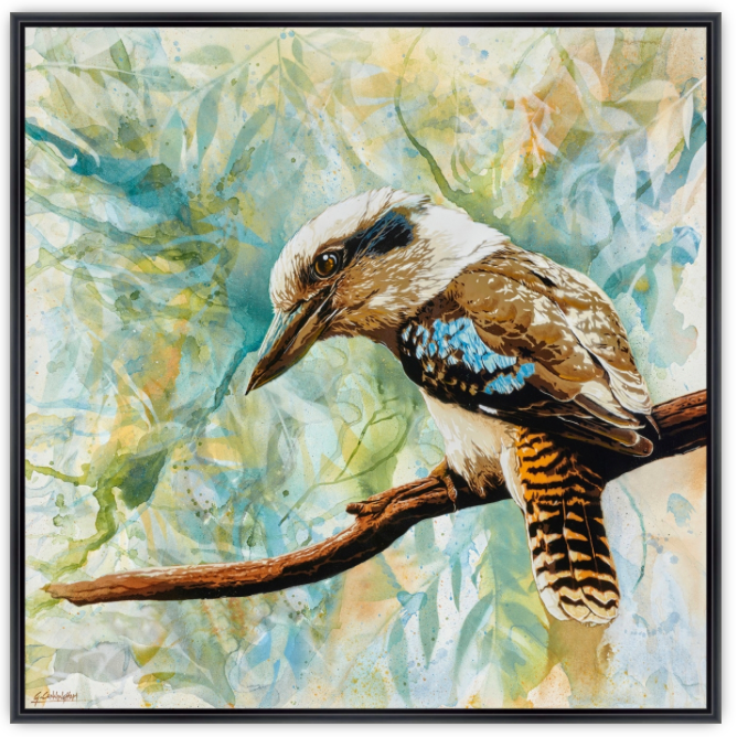 'I Spy (Kookaburra)' (Reproduction Print)