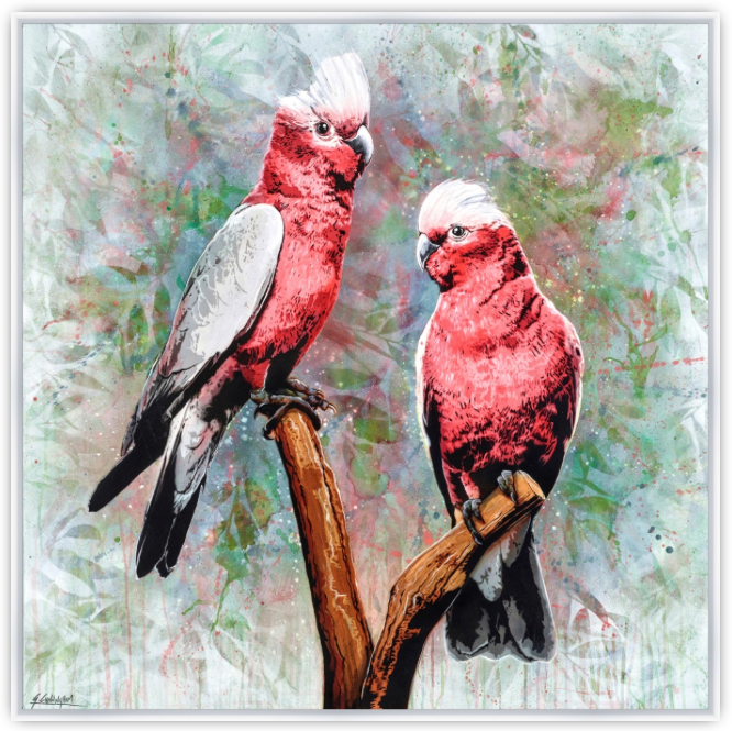 'In The Pink (Galah)' (Reproduction Print)
