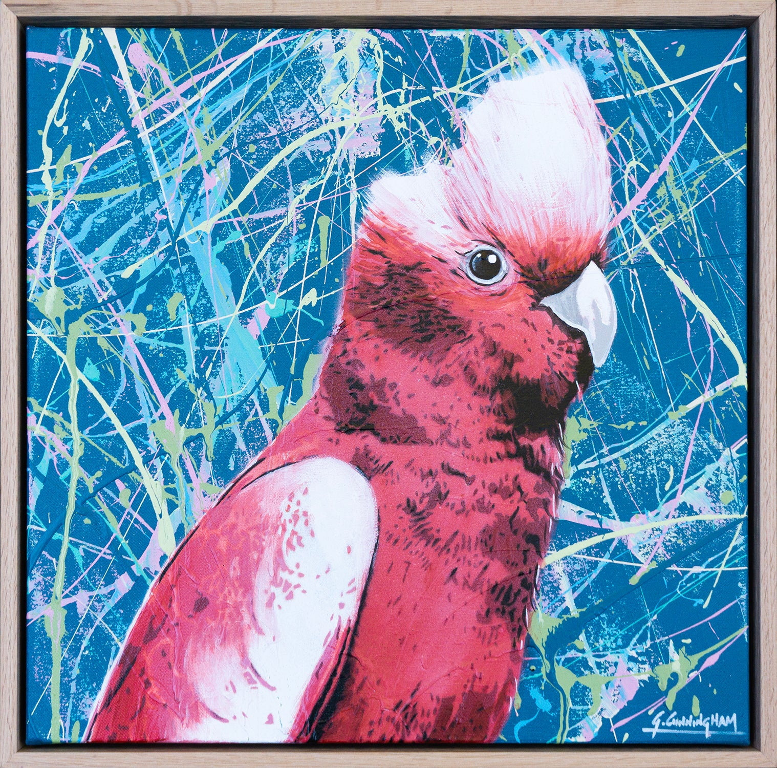 'Silly Bloody Galah #2'