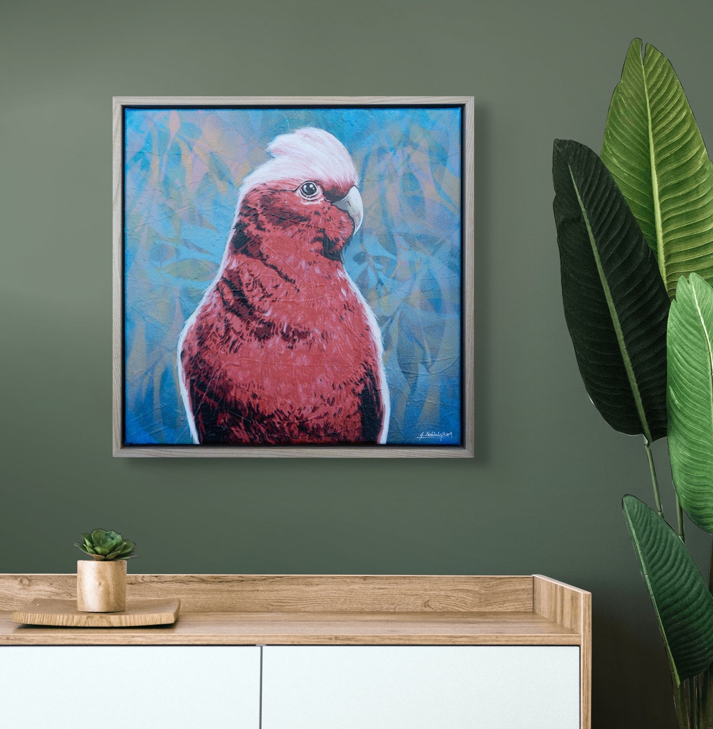 'Silly Bloody Galah'