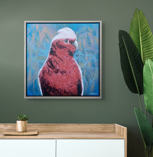 'Silly Bloody Galah'